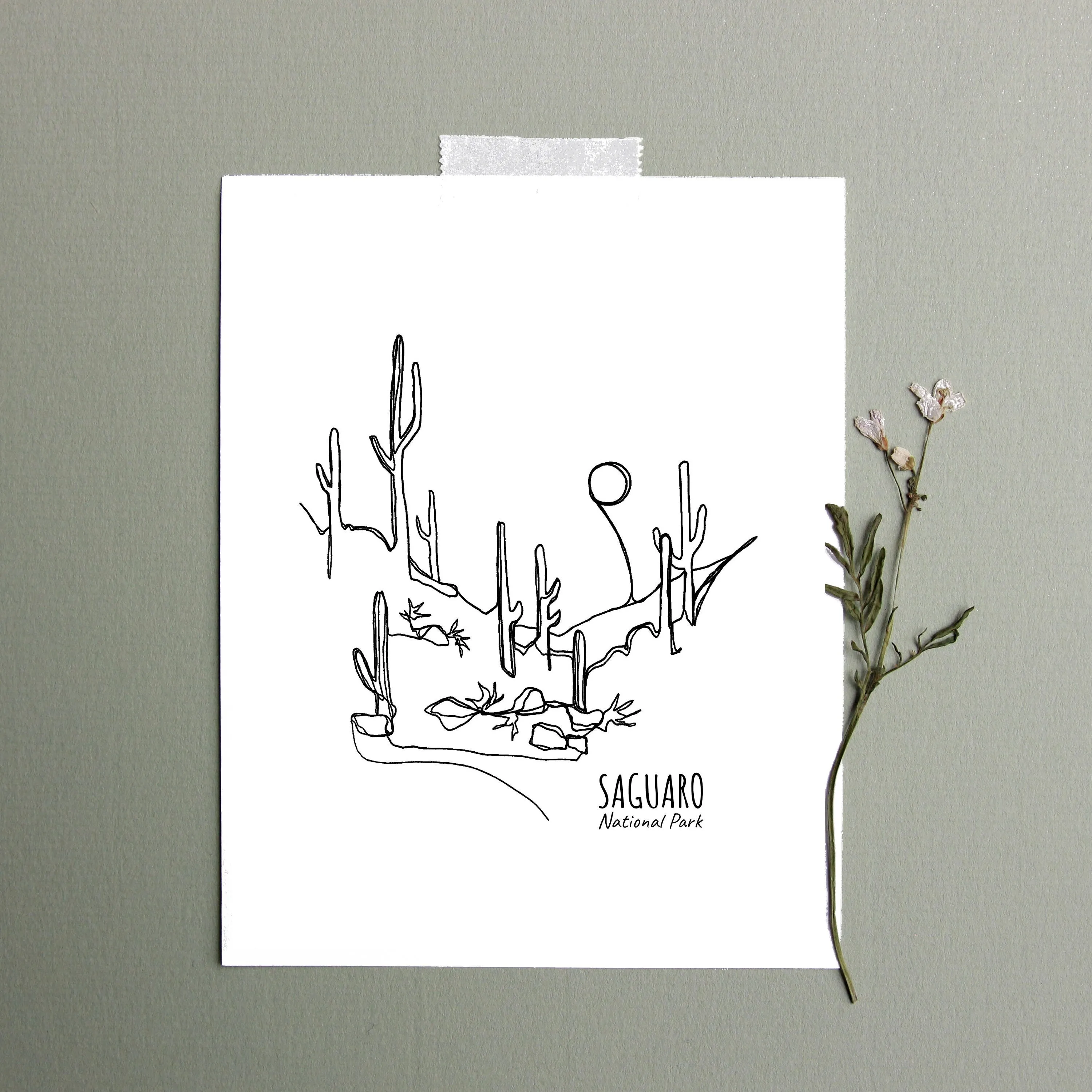 Saguaro National Park, Arizona Continuous Line Print