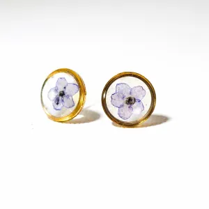 Tiny Forget me not Flower Stud Earrings